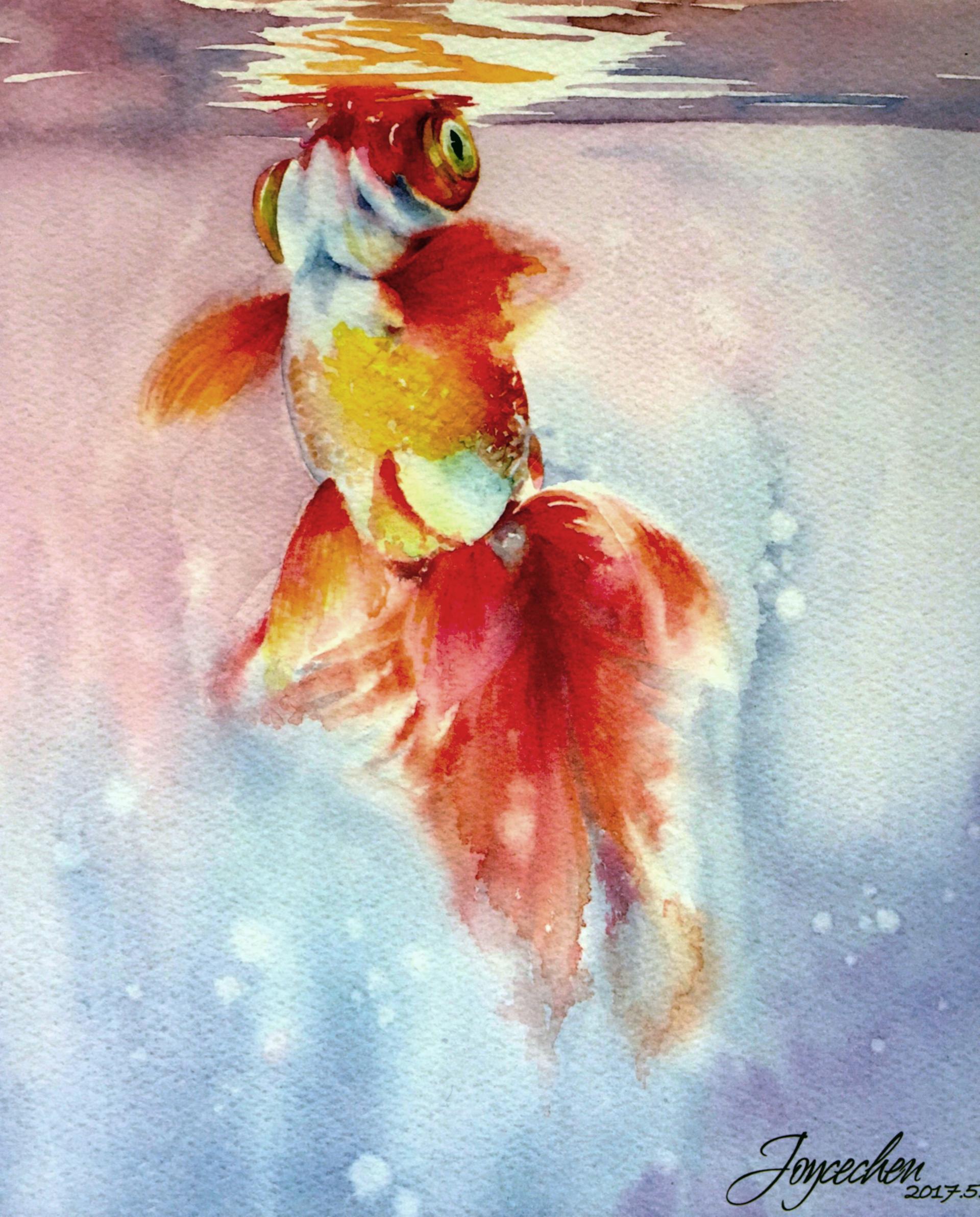 这是一本全面的观赏鱼类水彩绘画技法的教程,适合广大水彩绘画爱好者.