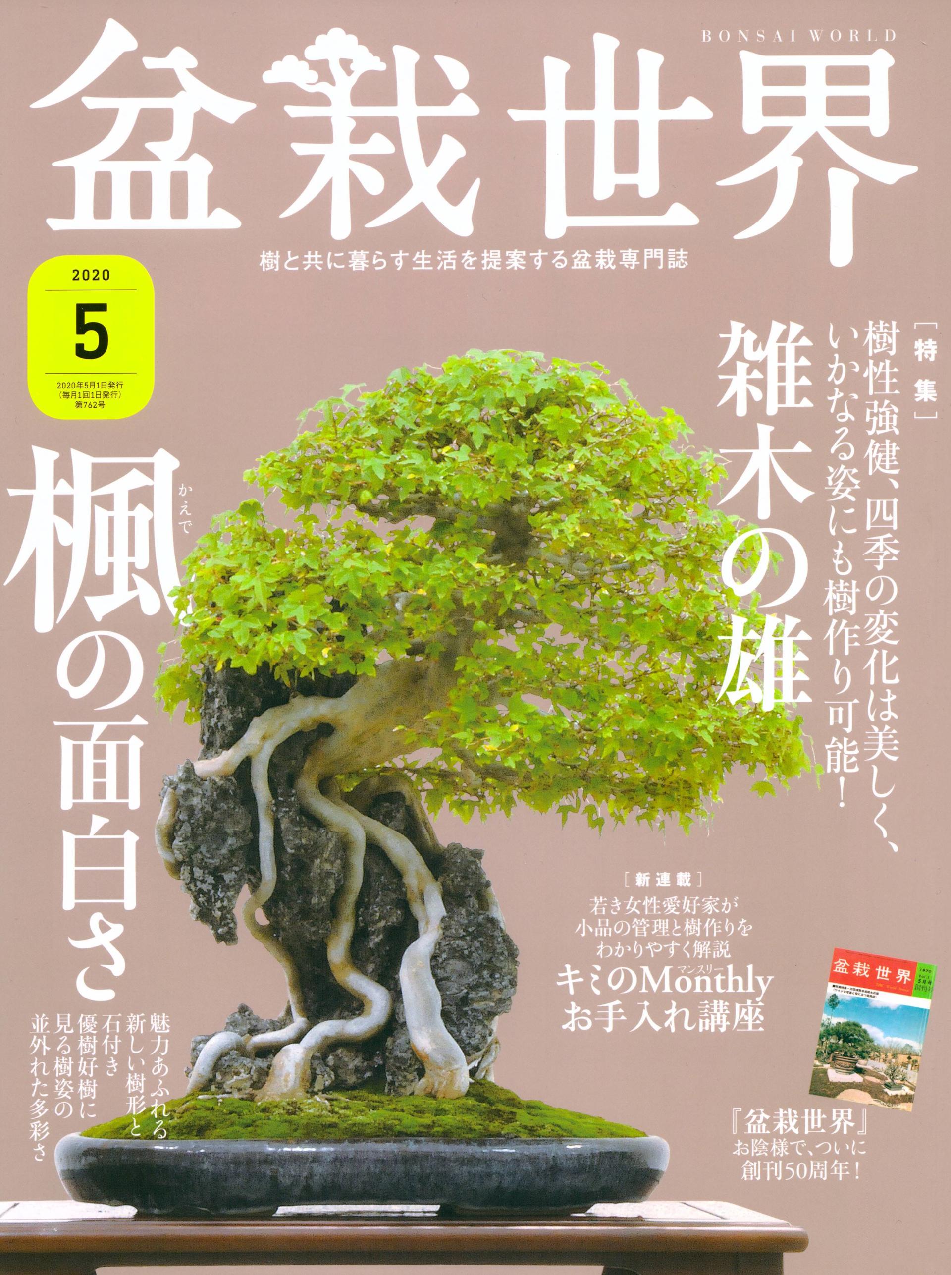 问藏书房 问藏书房