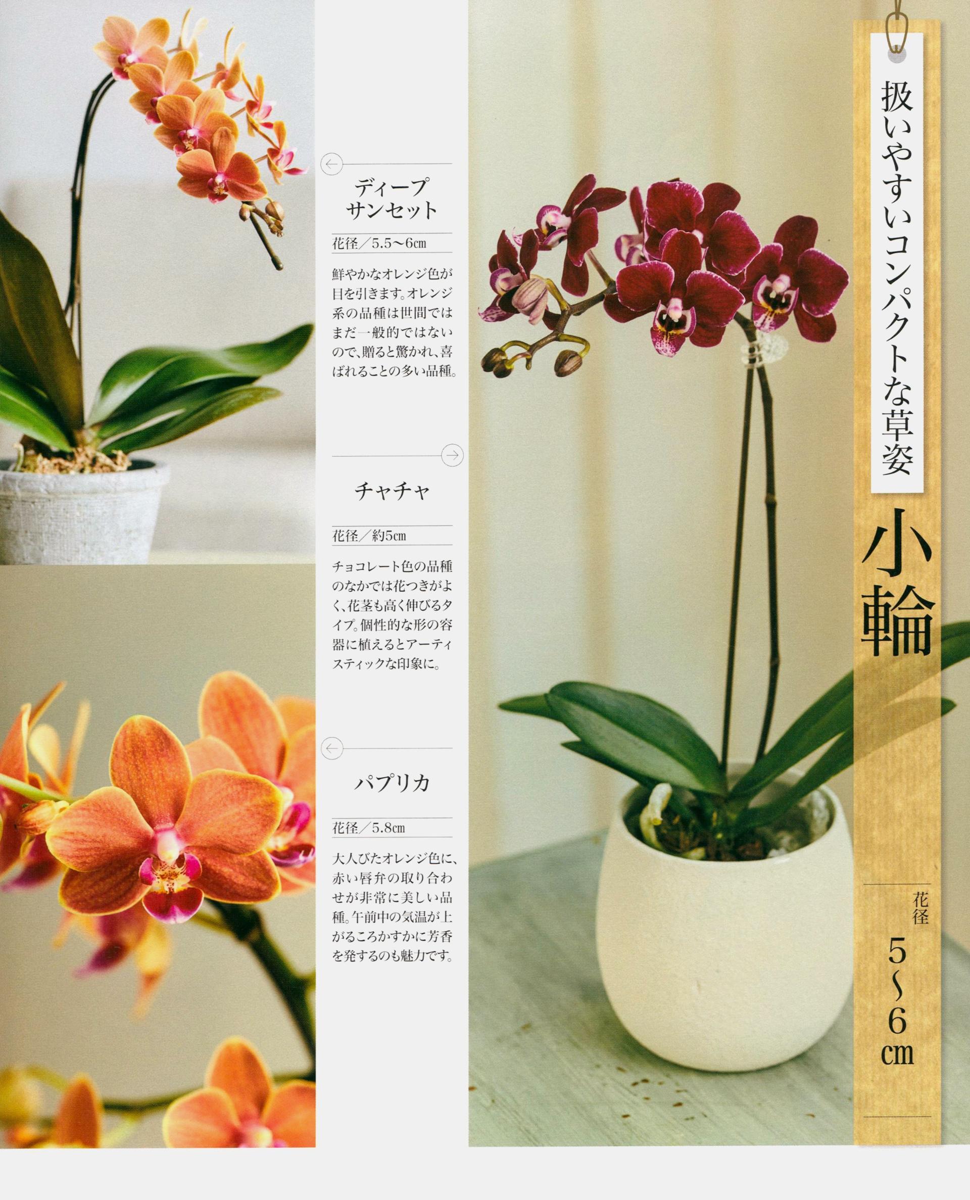 问藏书房 问藏书房