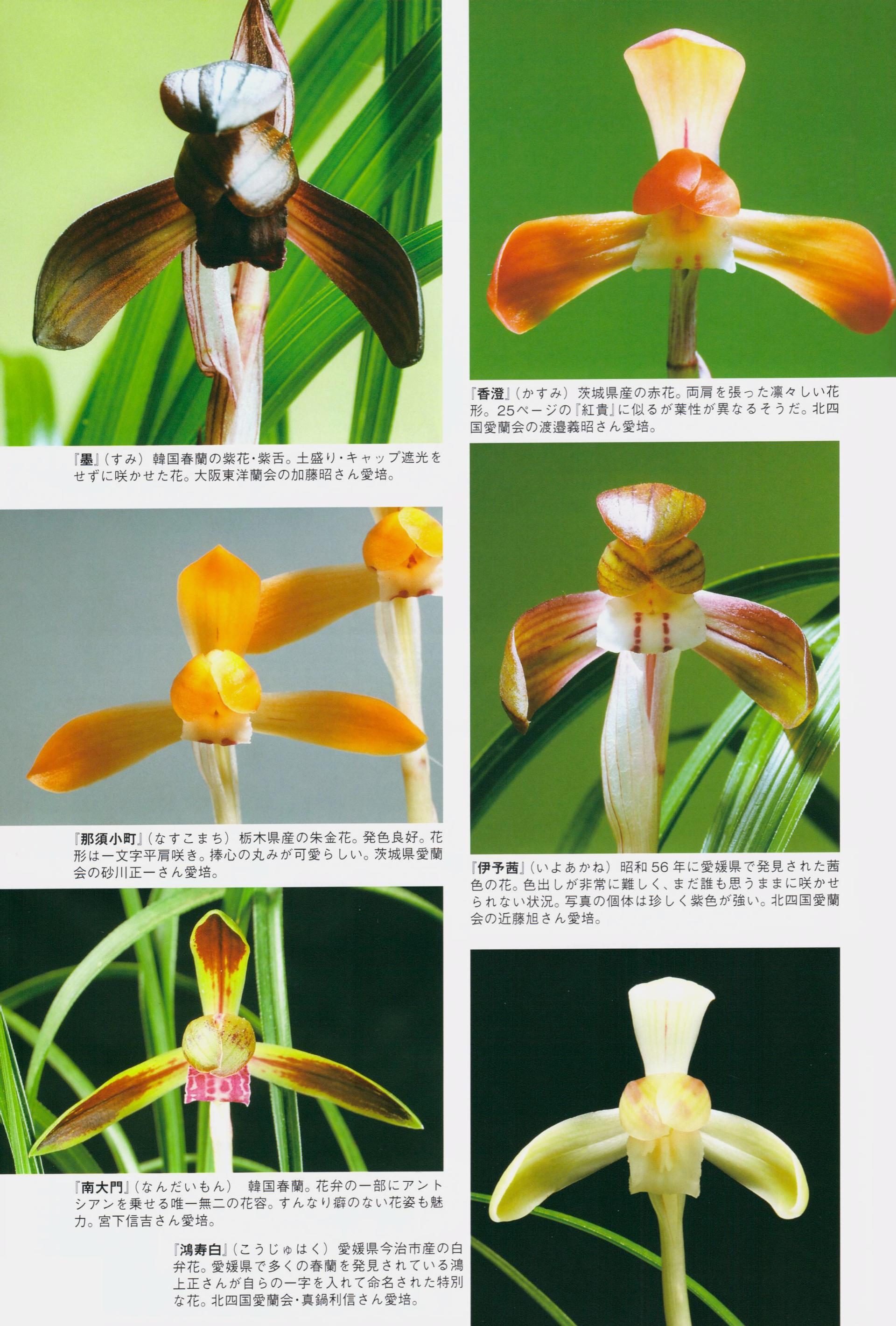 问藏书房 问藏书房