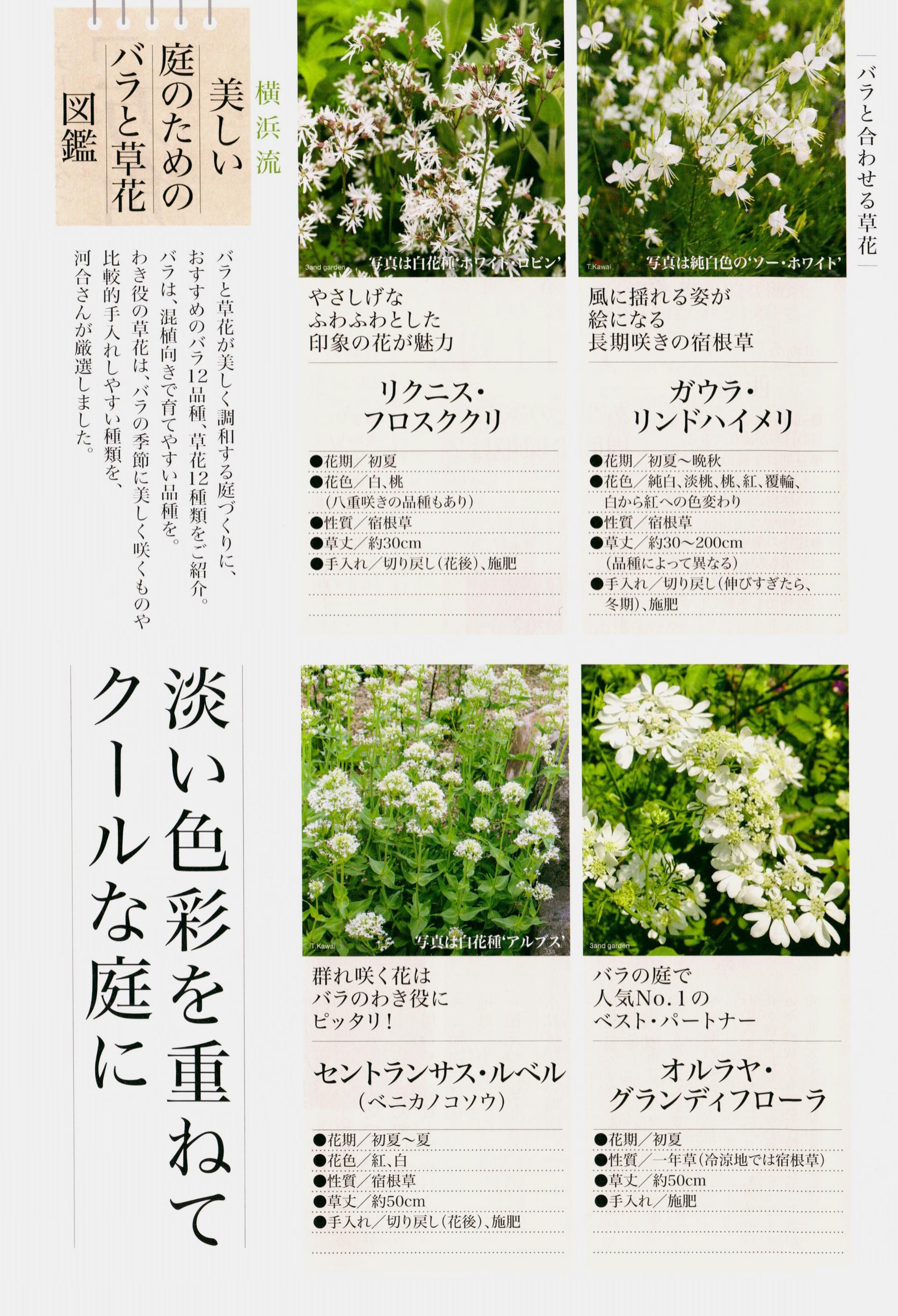 问藏书房 问藏书房