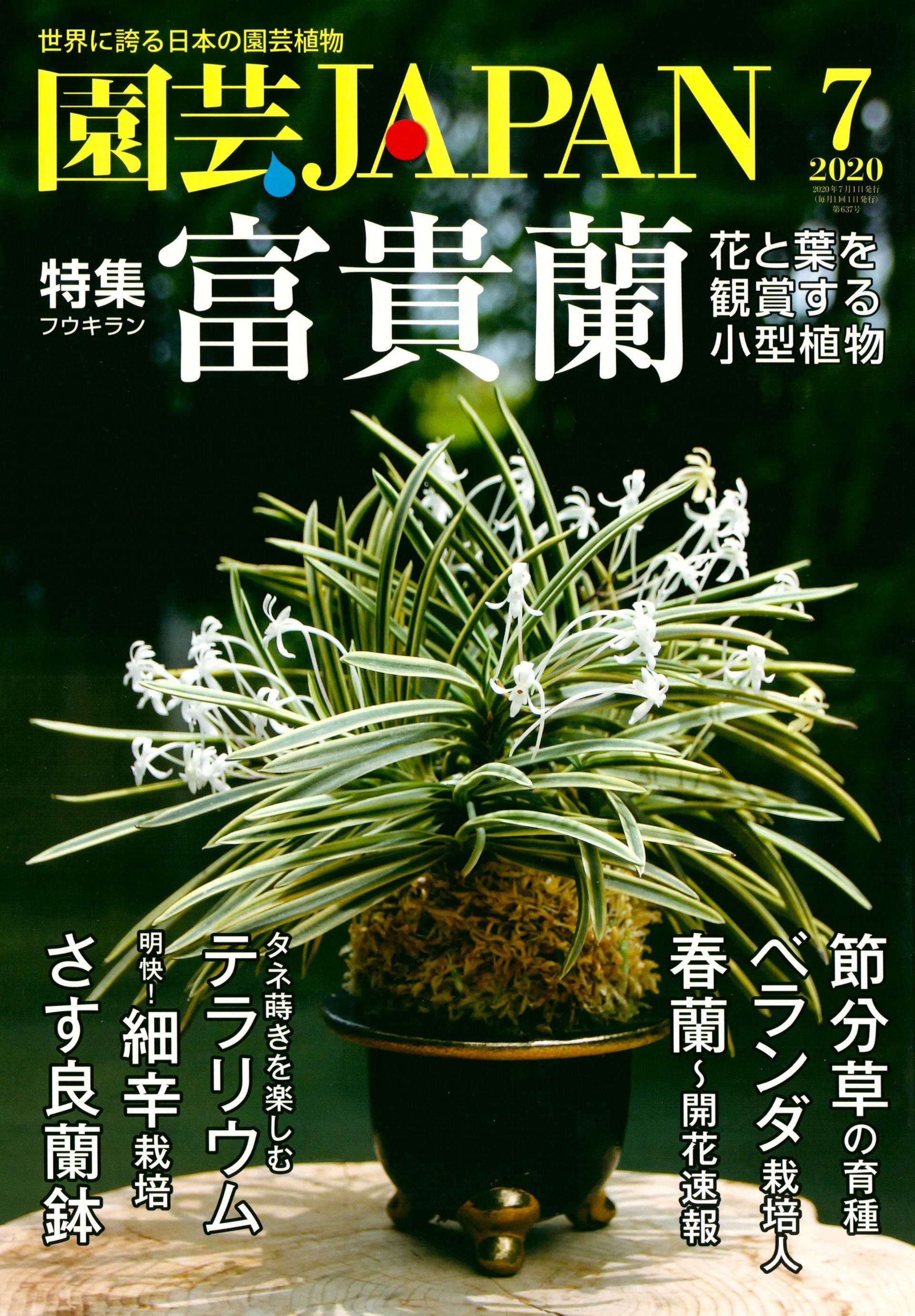 问藏书房 问藏书房