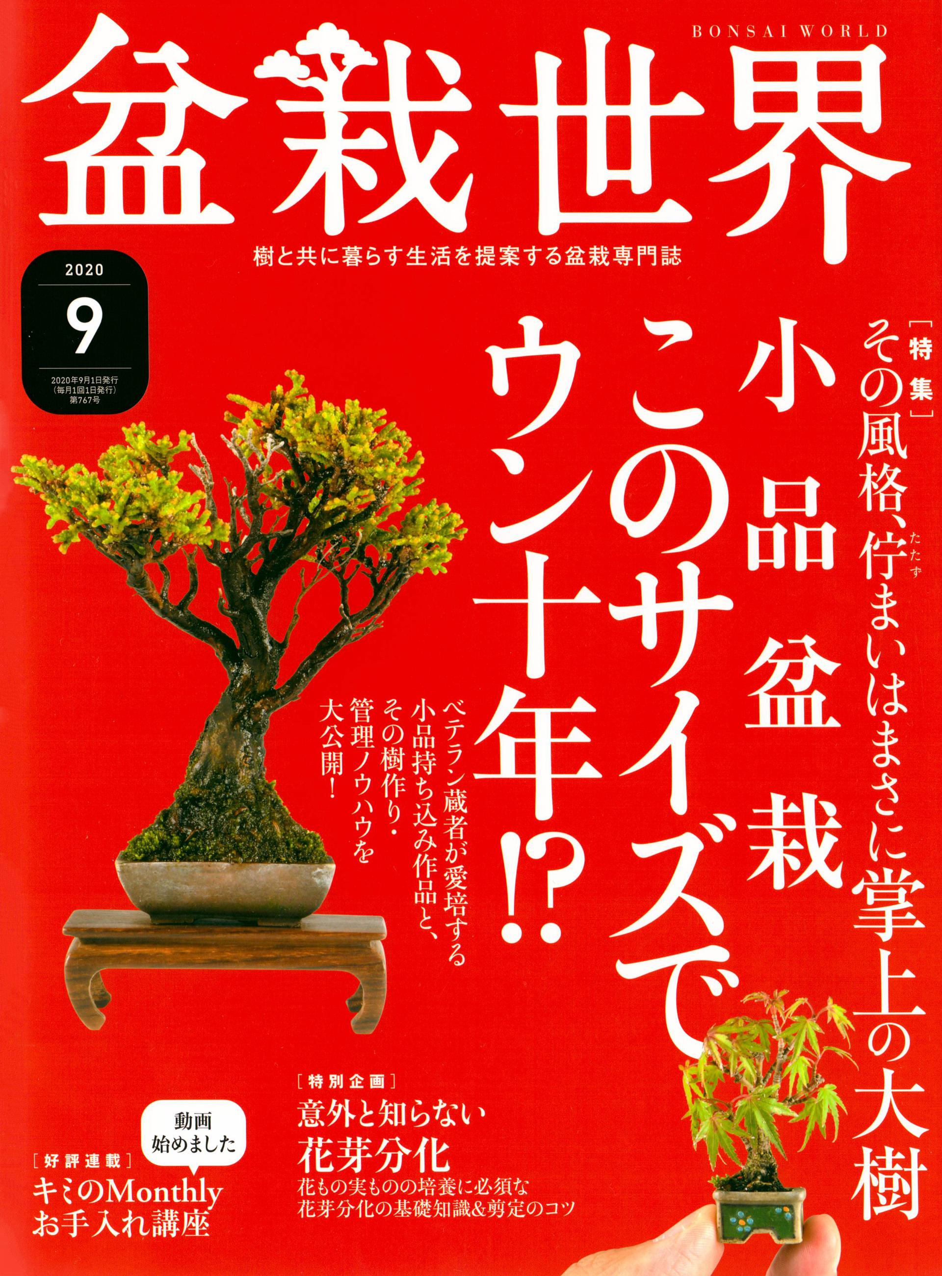 问藏书房 问藏书房