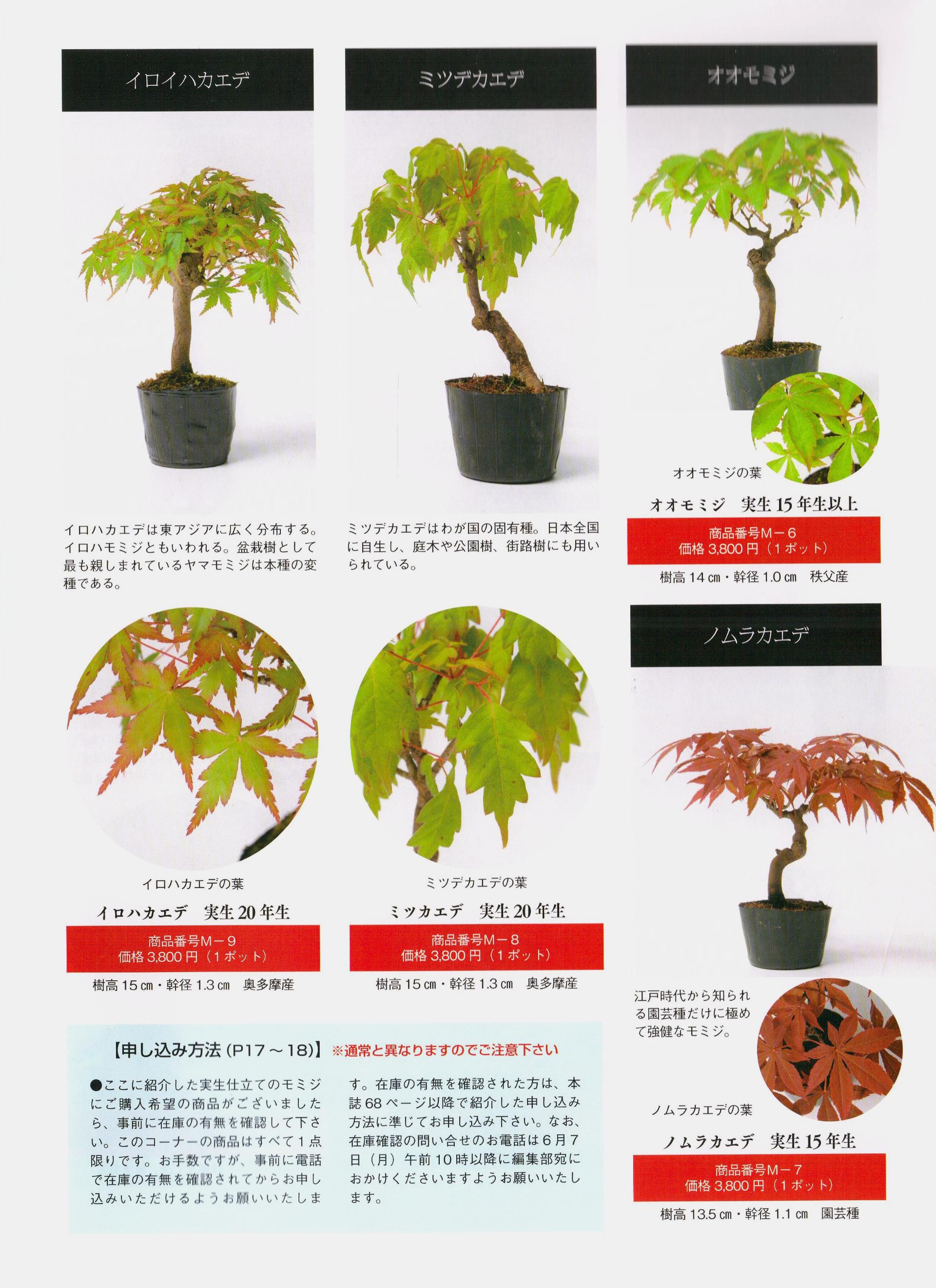 问藏书房